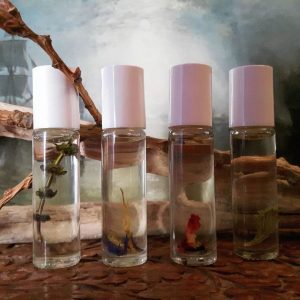 Les Alchimies Aromatiques et Les Parfums